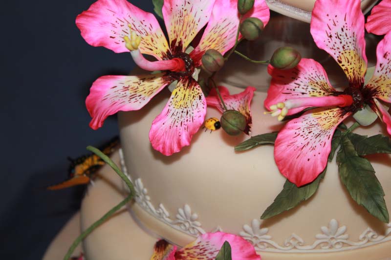 Cake Flowers close-up